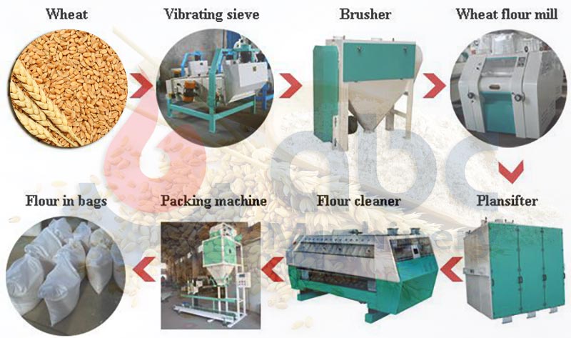50-500 TPD Wheat Flour Mill Layout Guide - Improve Efficiency & Reduce Costs