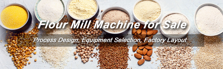 Wheat Maize Grains Flour Milling Business